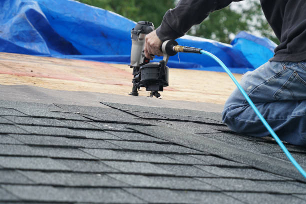Best Metal Roofing Contractor  in Hernando, FL
