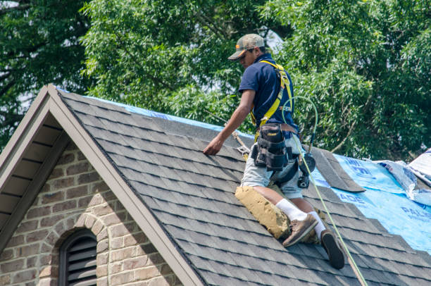 Best Residential Roofing Contractor  in Hernando, FL